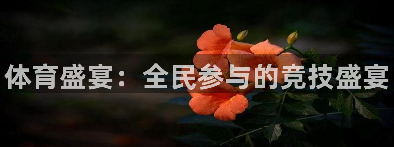 9255tv直播nba在线直播：体育盛宴：全民参与的竞技盛宴