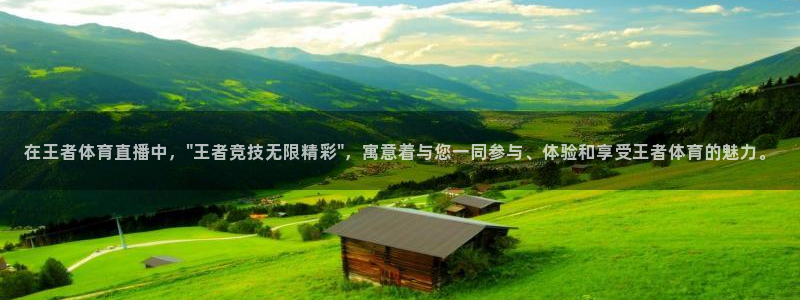 9255tv直播nba在线观看：在王者体育直播中，\