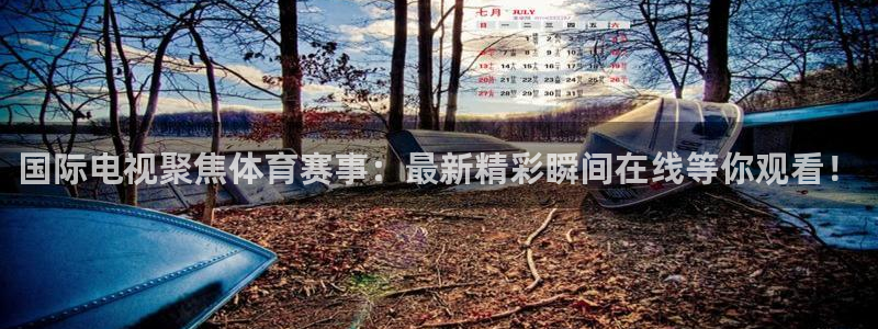 9255tv直播无插件nba：国际电视聚焦体育赛事：最新精彩瞬间在线等你观看！
