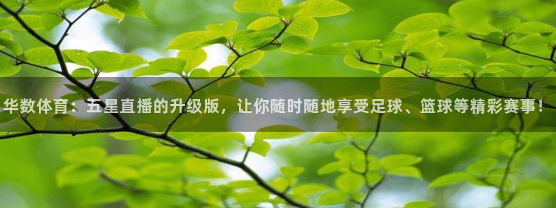 9255tv直播nba在线观看：华数体育：五星直播的升级版，让你随时随地享受足球、篮球等精彩赛事！