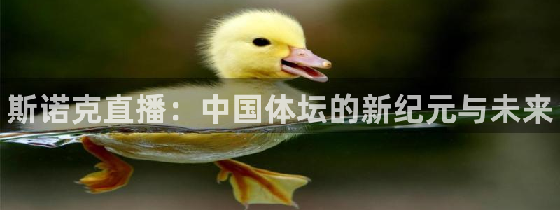 9255tv直播nba在线观看：斯诺克直播：中国体坛的新纪元与未来