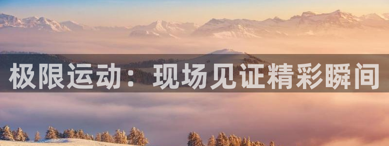 9255tv直播nba在线观看：极限运动：现场见证精彩瞬间