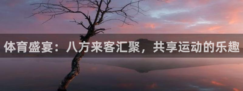 9255tv直播无插件nba：体育盛宴：八方来客汇聚，共享运动的乐趣