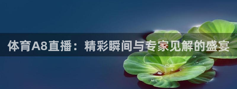 9255tv直播nba在线直播：体育A8直播：精彩瞬间与专家见解的盛宴