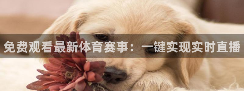 9255tv直播nba在线观看：免费观看最新体育赛事：一键实现实时直播