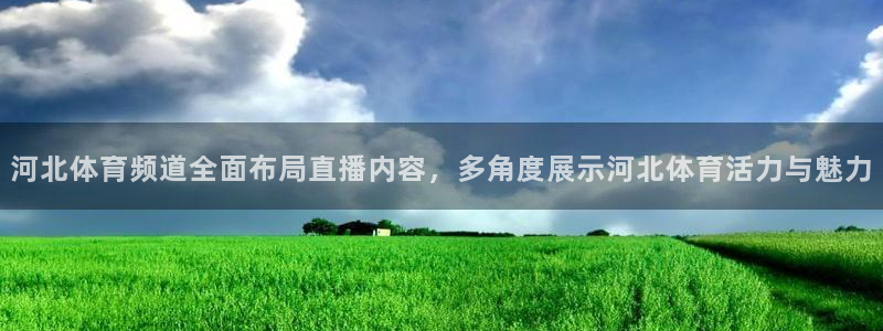 9255tv直播nba在线直播：河北体育频道全面布局直播内容，多角度展示河北体育活力与魅力