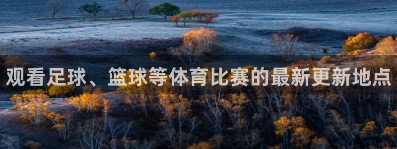 9255tv直播无插件nba：观看足球、篮球等体育比赛的最新更新地点
