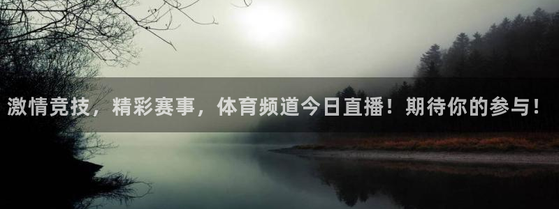 9255tv直播无插件nba：激情竞技，精彩赛事，体育频道今日直播！期待你的参与！