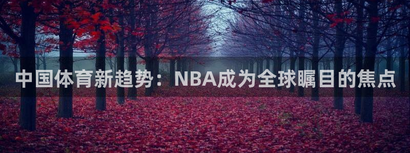 9255tv直播nba在线观看