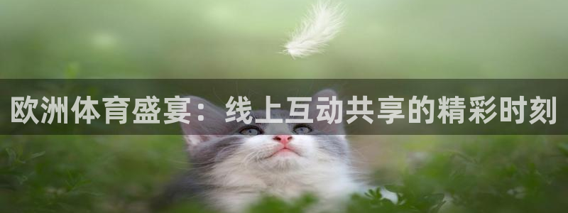 9255tv直播无插件nba：欧洲体育盛宴：线上互动共享的精彩时刻