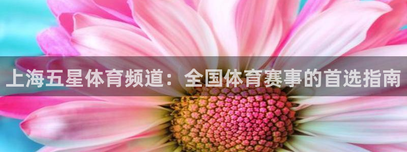 9255tv直播无插件nba：上海五星体育频道：全国体育赛事的首选指南