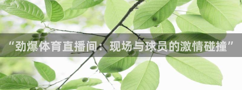 9255tv直播nba在线直播：“劲爆体育直播间：现场与球员的激情碰撞”