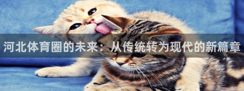 9255tv直播nba在线观看：河北体育圈的未来：从传统转为现代的新篇章